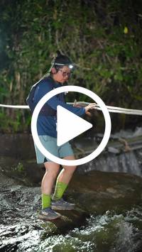 BIB:  <button type="button" onclick="openModal(27712245)" class="btn btn-primary btn-sm float-right" data-toggle="modal" data-target=".modal-high-quality">
                <i class="fa fa-download"></i> Download
                </button>